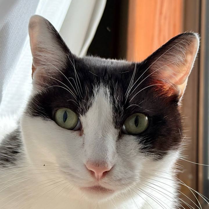 D854450f 1d6a 4721 87db 2b2663cb127d 1733796303113