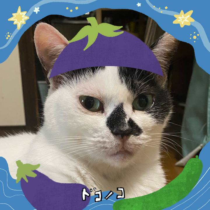 D8549af1 915f 464f bed7 f026f7e2a065 1755561140138