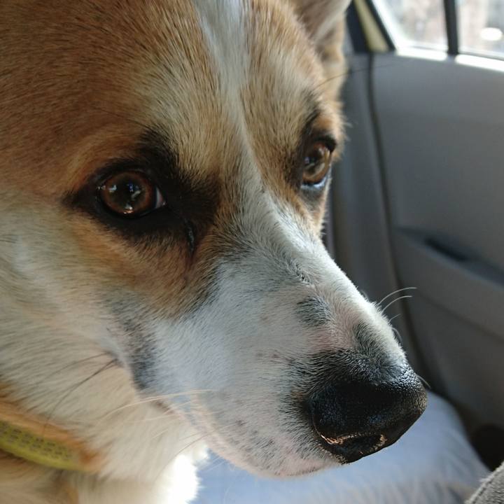 D854cd35 81f0 4a62 ab2e b66211d0ffa6 1581819521197