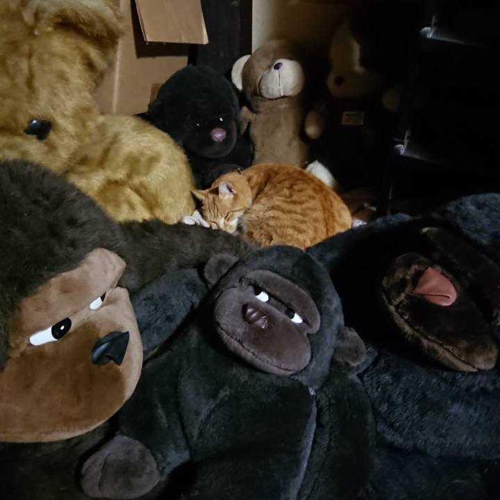 D854f1ec 2f0a 44ec af75 4970d34c5b8b 1607425565913