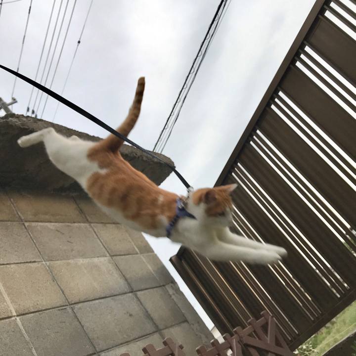 D8552ea2 7cdd 44fa b69f 458a3ca47602 1527686875137