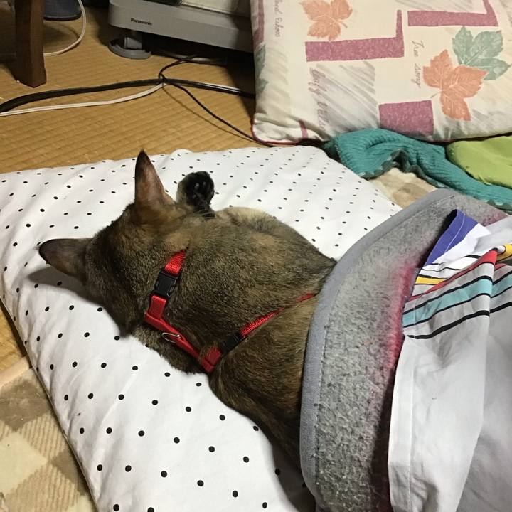 D855361c 8459 4c67 9b95 add10c270e70 1582973763808