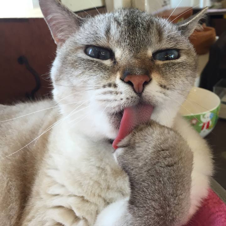 D8553834 d44e 4690 89f2 b1ec4f12479c 1531539900599