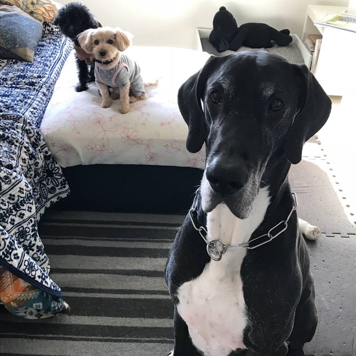 D85580cc cbce 48fc a8ba bd3cdc92d4dc 1523313846524