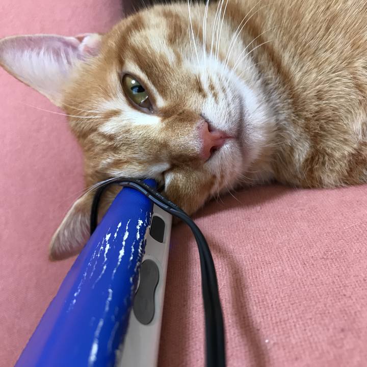 D8558424 6d4a 481b 927d 53c44ce7b967 1508204269591