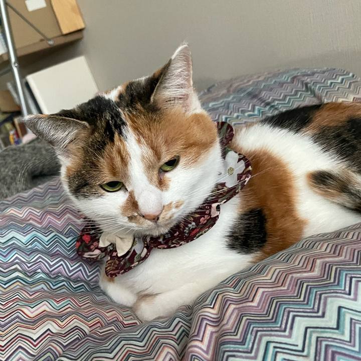 D8559f8c 2f34 4d98 9182 abcdf05e98b2 1734406594127