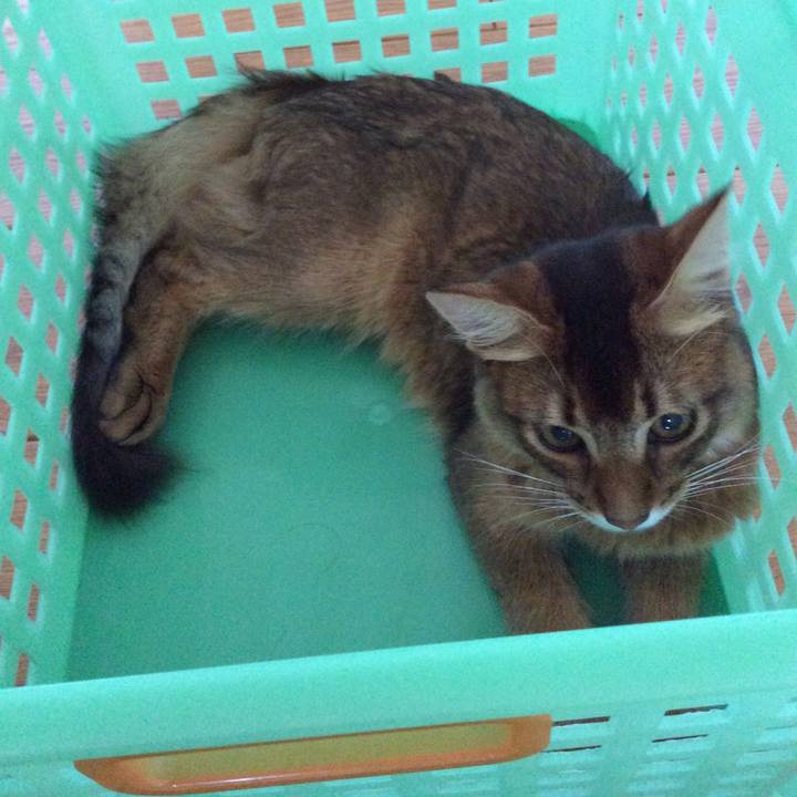 D855baa3 fbec 413f 828e 997258a9a13b 1565561119590