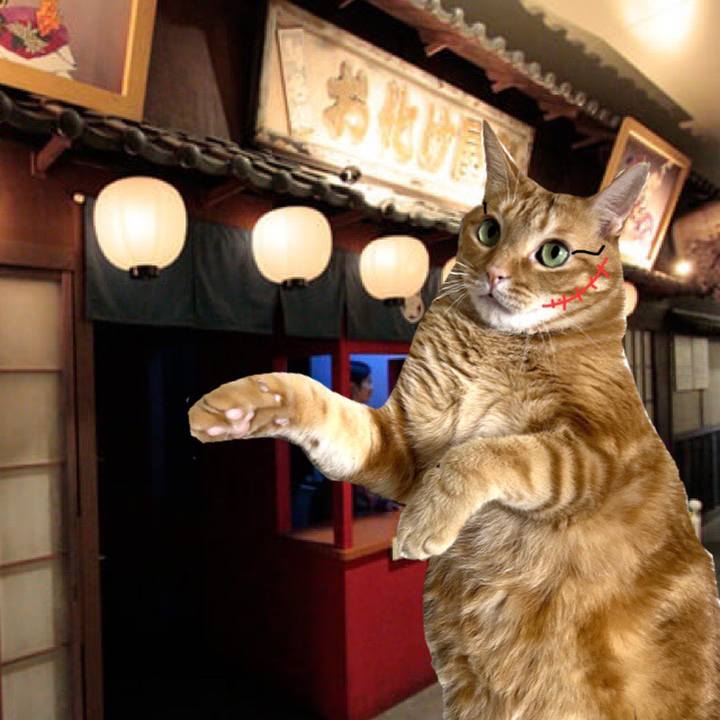 D855e457 efae 4f11 a1f5 06fa8efafe08 1661675045269