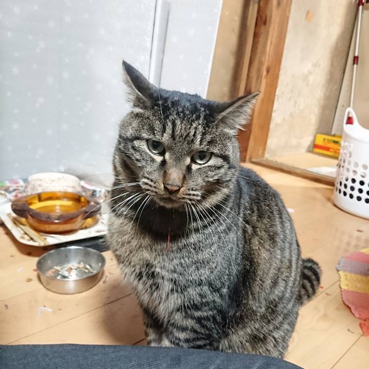 D8565446 3b69 4708 8bef 1e6b20b1ab45 1640863562968