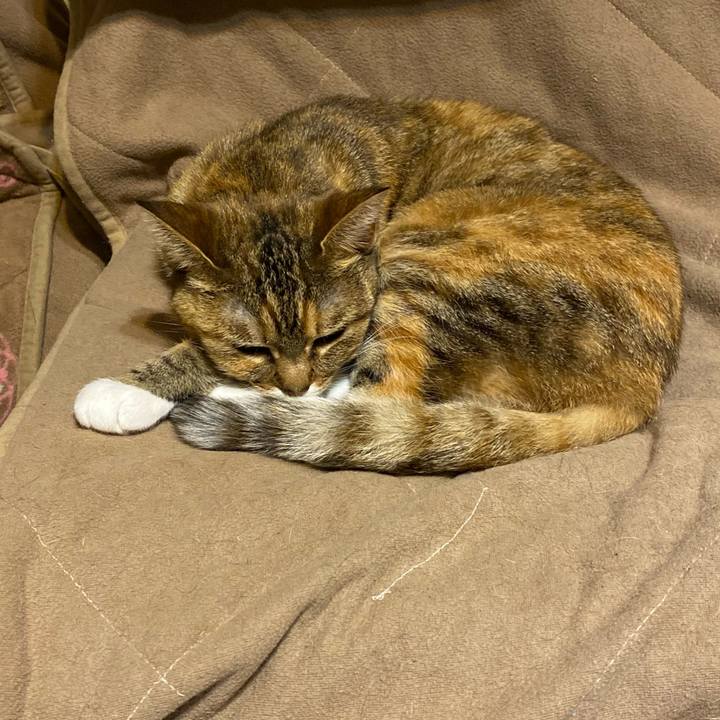 D8567c65 b760 46f4 8e00 11ba3b0dd3d6 1617285413759