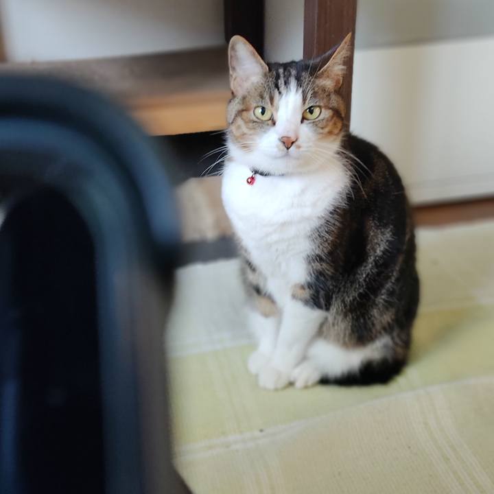 D8571575 e365 4f52 881a b7073f55f02a 1620616512216