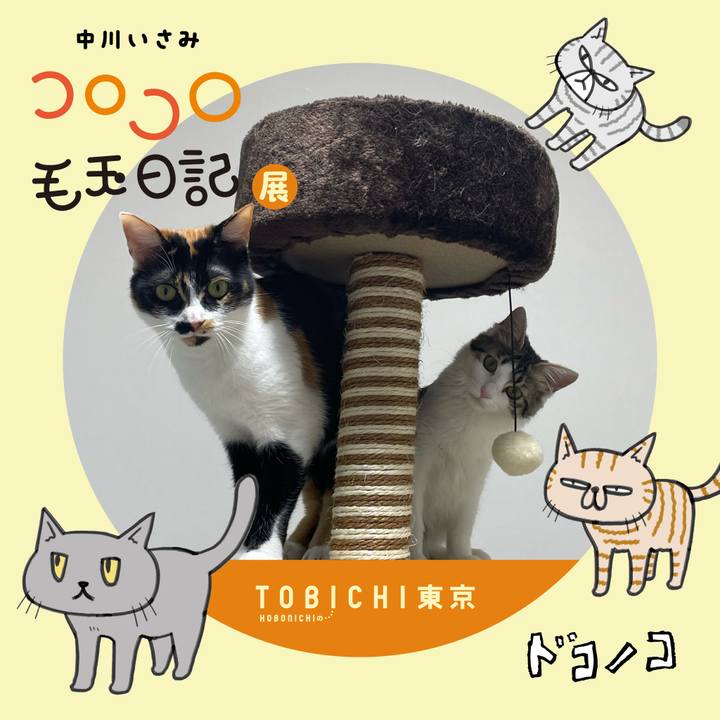 D857230e baa7 4e60 a831 2af8cdd3cf7b 1740141482535