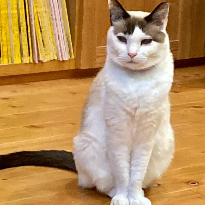 D85735f3 e92d 4f33 be36 0a9ca5b208fc 1673676340724