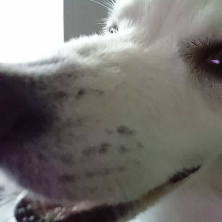 D8573afb f8e5 484c 92d3 ad2eb68abb7e 1528868013110