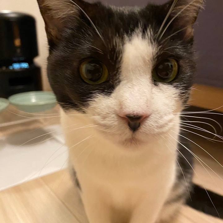 D8577dec 4c04 4d55 8fed 0dc7c104fd43 1716978573393