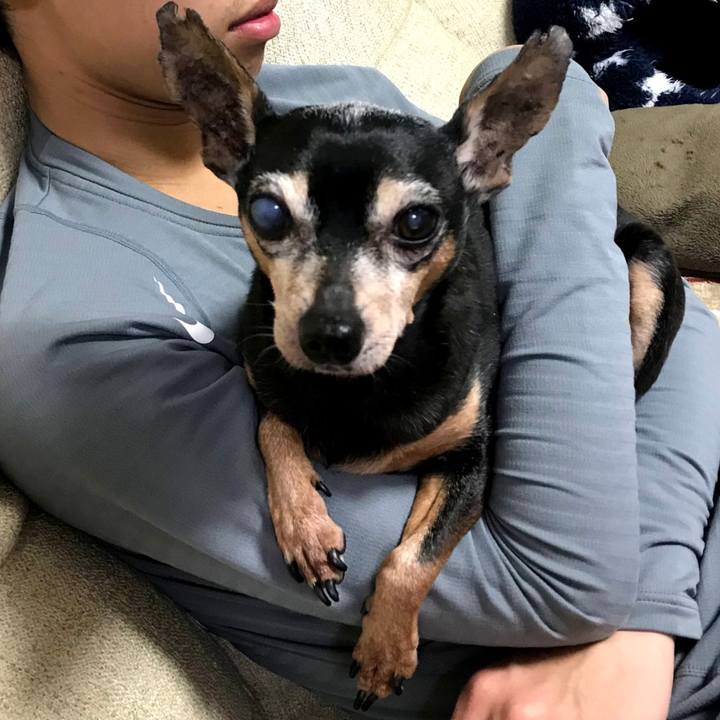 D857b7d1 b855 4ee4 b776 2a8642e3d1c6 1585480657450