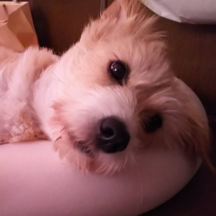 D857bb24 8c50 493c a46d cf14ca440d13 1565388178499