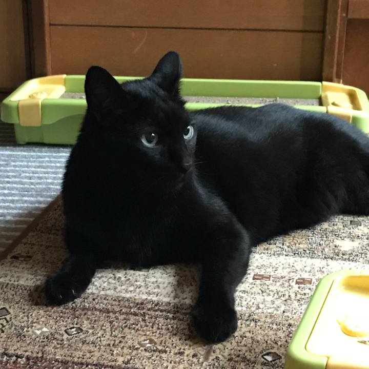 D857c347 8be1 4e30 b500 448aef2a8b8f 1535155029736