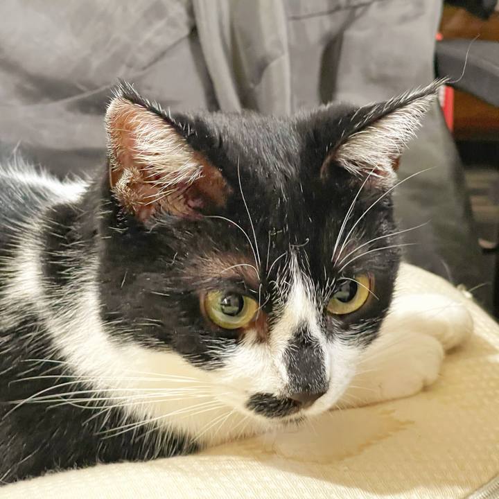 D857ec38 e938 4c69 85de 55b29f89277a 1759031053679