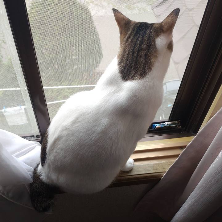 D857f034 cc1d 43b9 818c 304a72099f5e 1726465355839