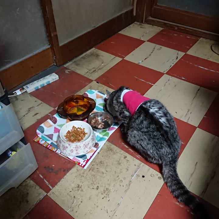 D85800ff 2cd3 4504 8b45 bb127aa977e6 1586727681971