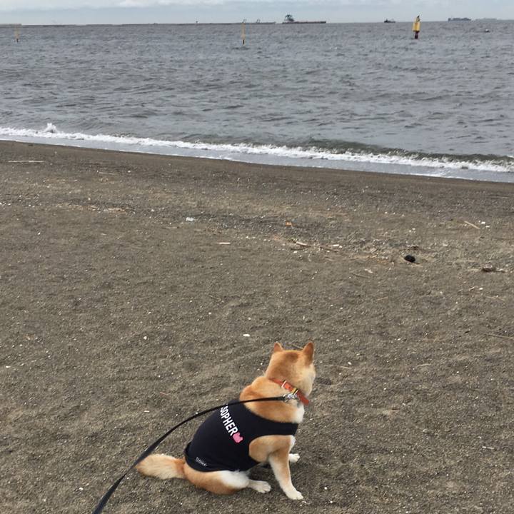 D8580892 e9bf 4882 97e7 02fdadfa66d6 1561628069985