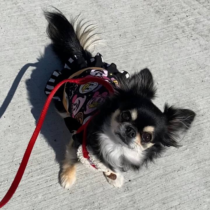 D8580c43 6b93 4279 87c5 9a47fedfe5a1 1635235022338