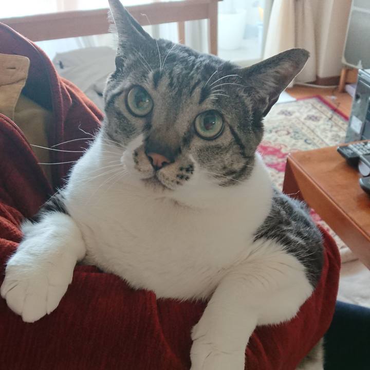 D858ecb9 4970 475b 8856 37e66f2b3531 1554639541165