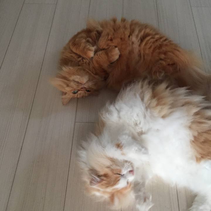 D85910fa 442f 4d2f be17 7895fe1c2816 1522361223267