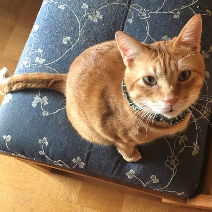 D8592c9d 2f4b 43f1 806f dcc860959181 1537686512838