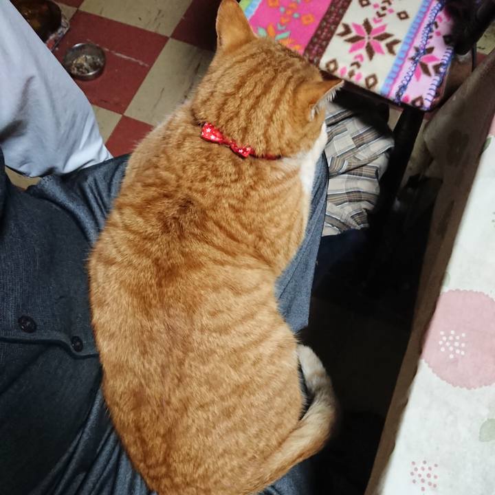 D859534c 6403 45fe a913 1f48aa2c127e 1578388008322