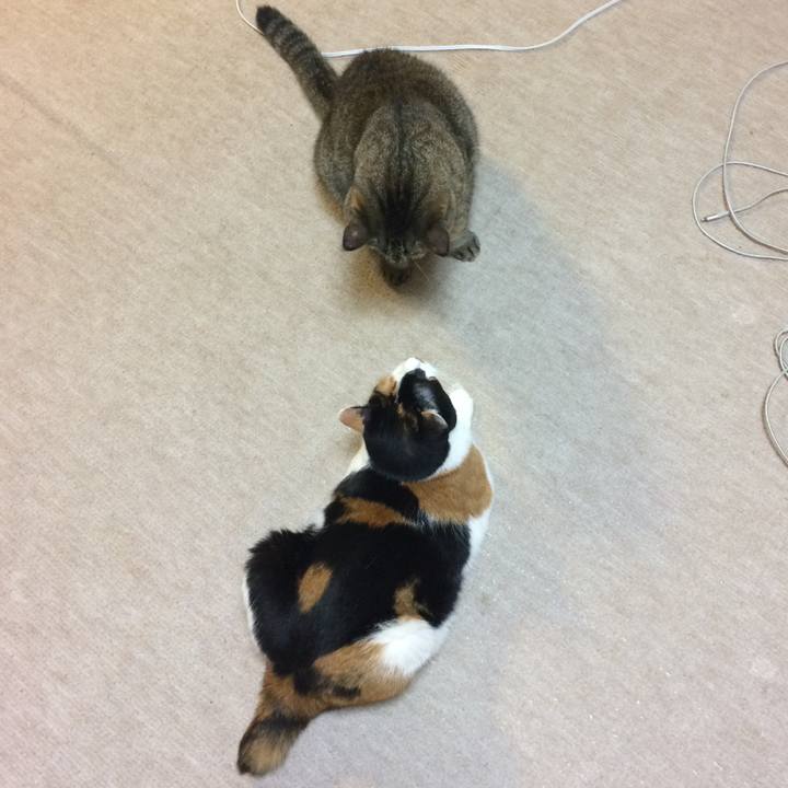 D8597454 dfbc 4c49 afe0 02f5248c106c 1568200078153