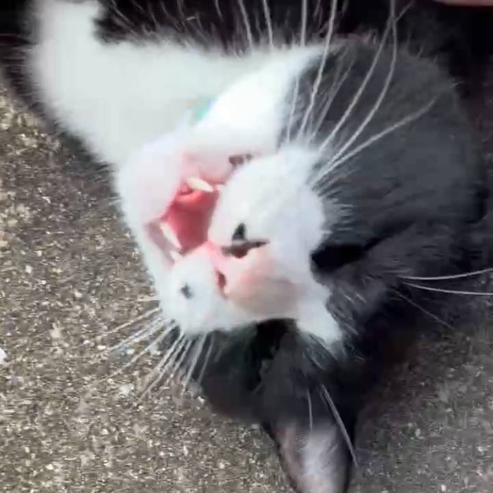 D859a138 2692 417e bb0f 948602725323 1761360726871