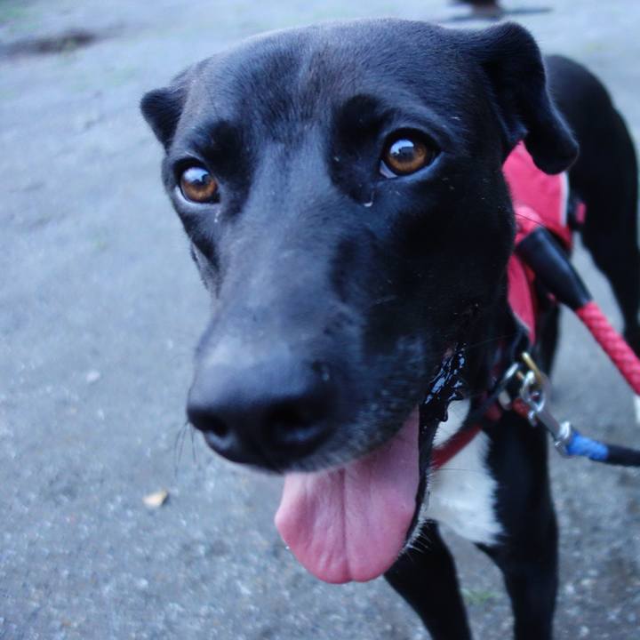 D859a636 fab3 48cc ab07 42d054bd035a 1592993422965