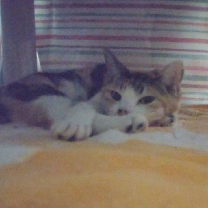 D859a659 29aa 441c 9972 3ad68760414d 1714650940277