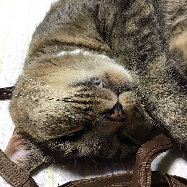 D859b7c8 e78d 4a35 a0b3 f2c9f3e1dafd 1753963728066