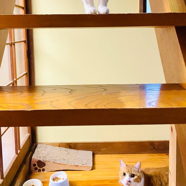 D859bdc1 e25d 4433 b11d b32969c635a1 1659563110268