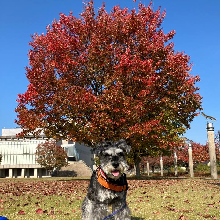 D859cfcd f72c 4e07 a6bd 1a100ec37304 1731563561101