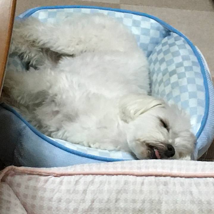 D859e52c b65c 487d 8926 c5ee0be385f9 1593084452421