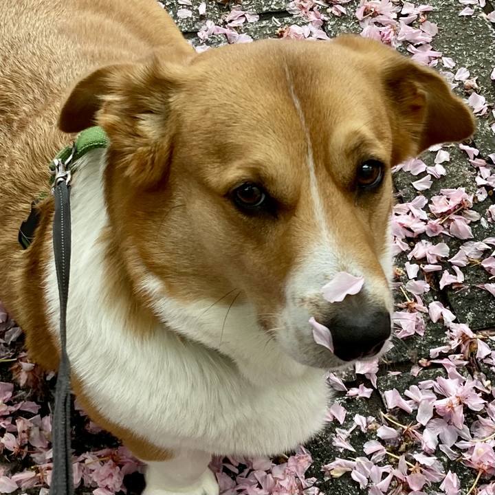 D859f2ff 0e49 4f59 89b4 273d2be67f02 1713841416036