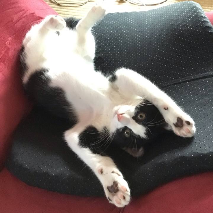 D859f52c 12d1 4340 91ff d7de247c3b25 1626494505351