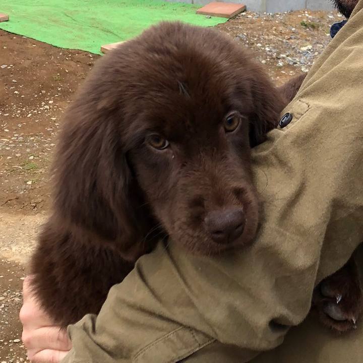 D859fa56 203e 43c9 a125 7ccc79f494da 1558684065160