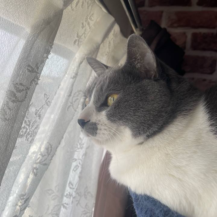 D859fcb4 cc23 4d66 9049 18bdc73b2eea 1681774417336