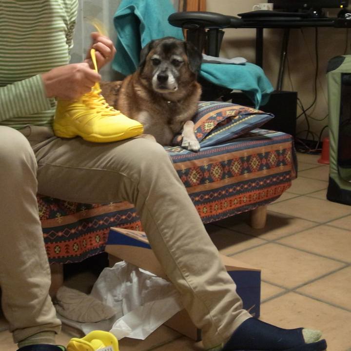 D85a1060 b419 400c a90b 51f673dbed41 1696553591247