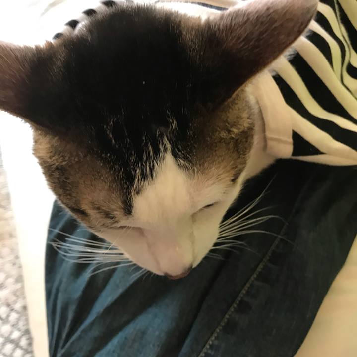 D85a1159 de18 416b bc65 c45f1f53c0da 1554388602080