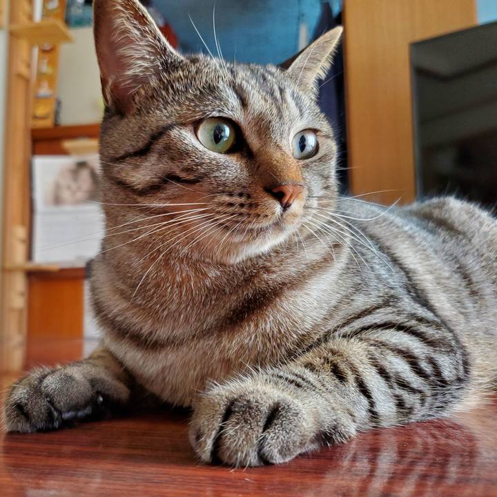 D85a1c5e 3639 4562 9783 0303fe906f99 1696110265839