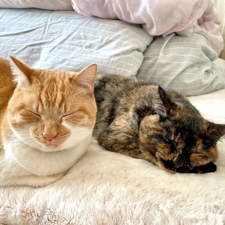 D85a3bb0 6b74 4e8c 986f 1e2618115f28 1641711382937