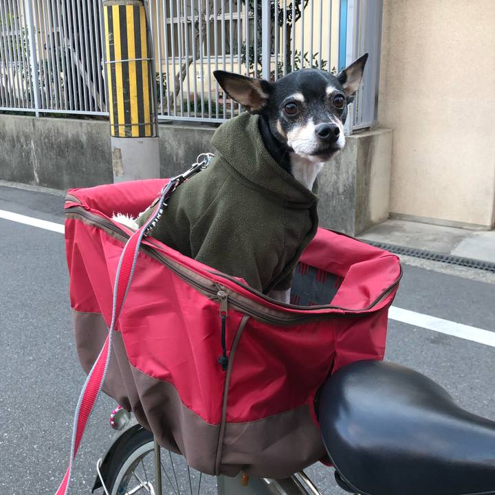 D85a4910 93dd 44ea b5ba d8979f10fde8 1548583120595