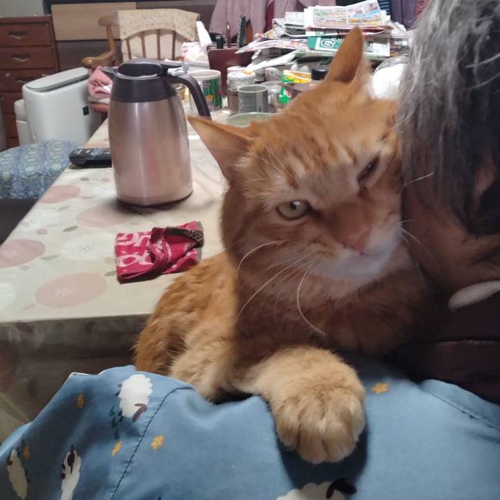 D85a7922 c841 4f5d bfe9 d52814fc3cbe 1708412010356