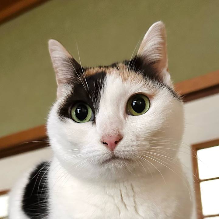 D85a7c06 cdb4 4572 b22c 656de2c3cab2 1673315505475